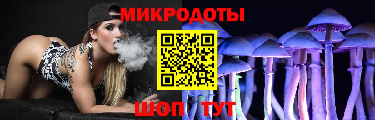 Псилоцибиновые грибы прущие грибы Тайшет